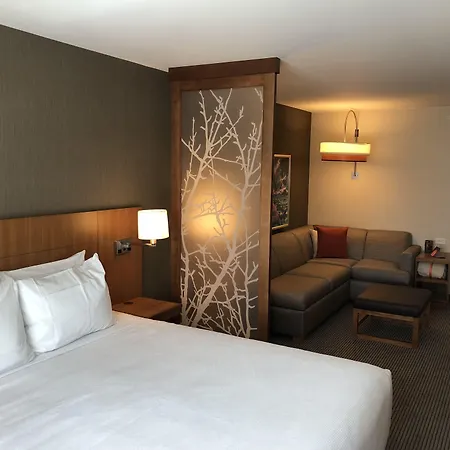 Hyatt Place St George/Convention Center-2