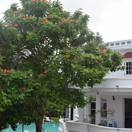 Mansion Giahn Bed & Breakfast-2