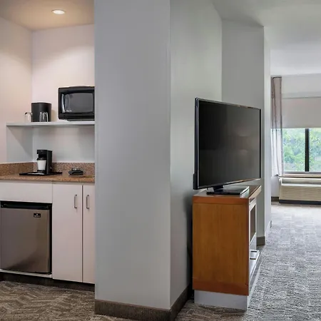 Springhill Suites By Marriott Charleston North-2