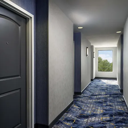 Hampton Inn & Suites Dallas-Dfw Airport Hurst-2