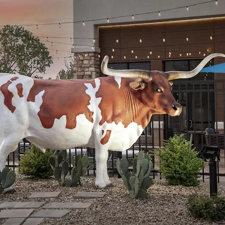Hampton Inn & Suites Dallas-Dfw Airport Hurst-3