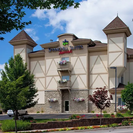 Springhill Suites By Marriott Frankenmuth-3