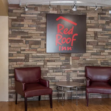 Red Roof Inn Tampa - Brandon-2