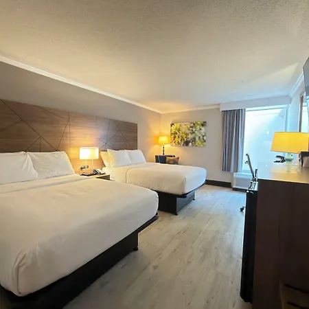 Wyndham Garden Summerville-2