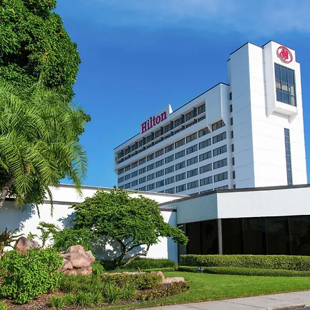 Hilton Tampa Airport Westshore-3