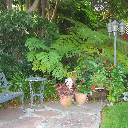 A White Jasmine Inn-3