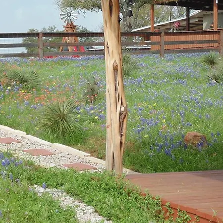 Texas T Bed And Breakfast-2