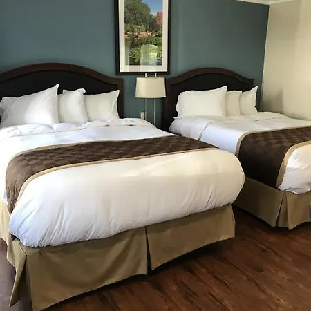 Rex Motel-2