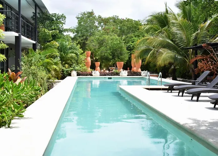 Barronegro (Adults Only)