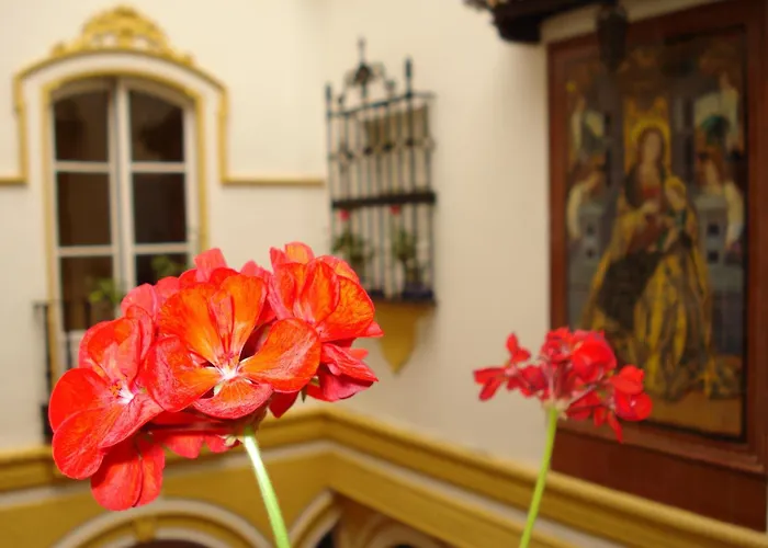 Hotel Abanico Casa Palacio