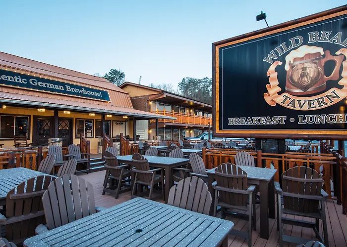Wild Bear Inn