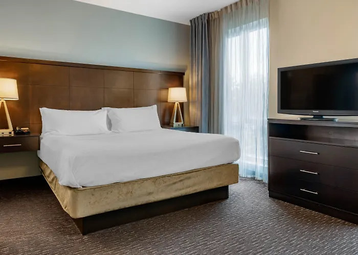 Staybridge Suites St. Petersburg Fl By Ihg