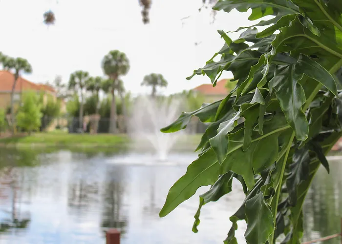 Hilton Vacation Club Polynesian Isles Kissimmee