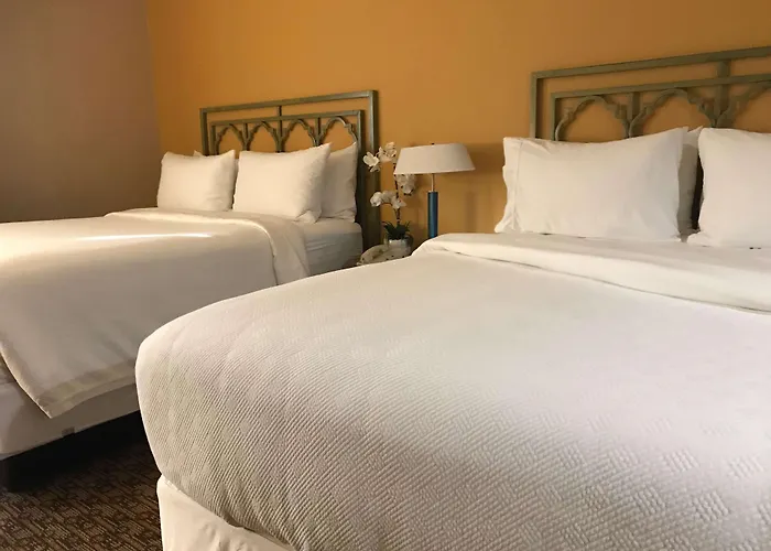 Hotel Xola Trademark Collection By Wyndham