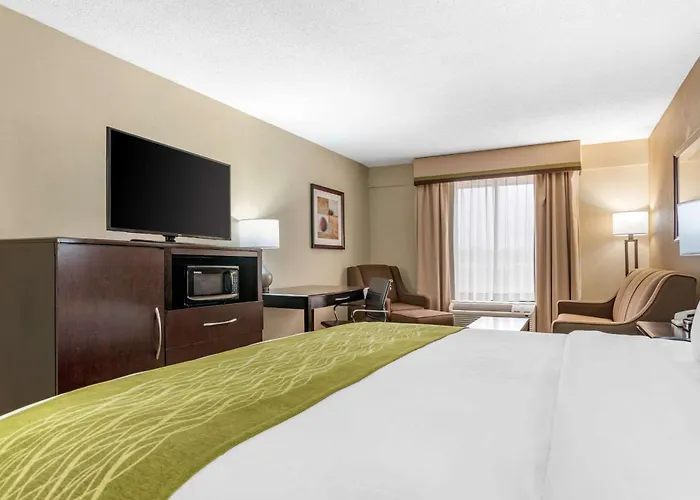 Comfort Inn Pearl-Jackson