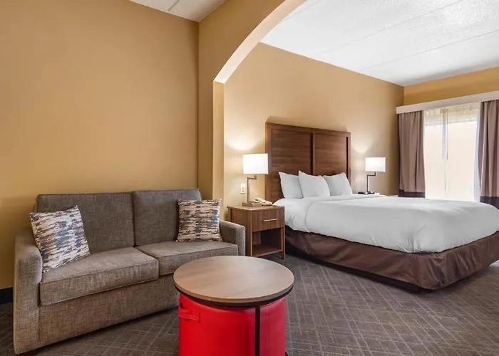 Comfort Inn & Suites At Stone Mountain