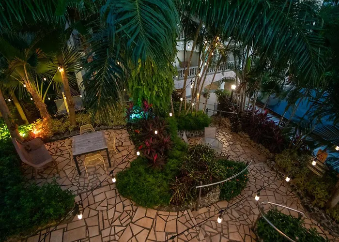 Lazy Parrot Inn Rincon