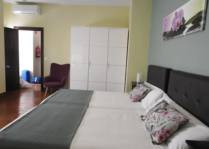 Amelia Habitaciones