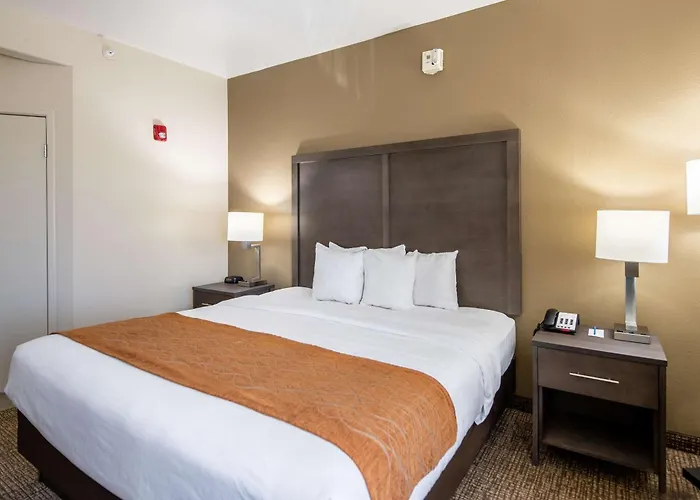 Comfort Inn Bossier City Casino Area Near Shreveport Downtown