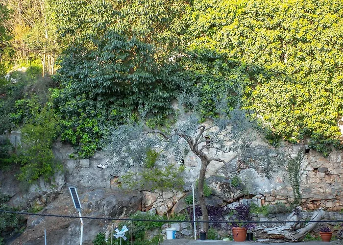 Anchi Guesthouse