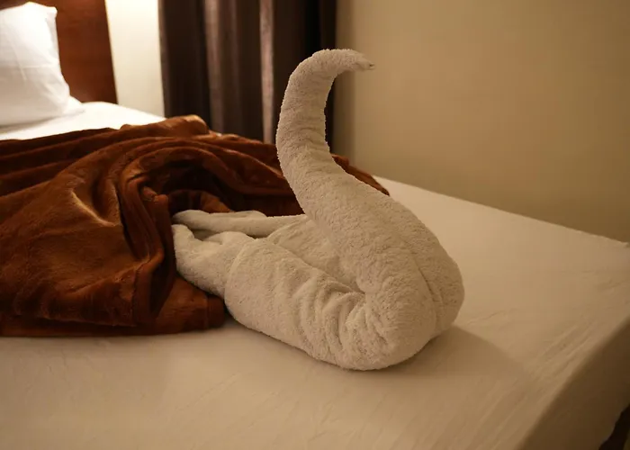 Montana Hotel