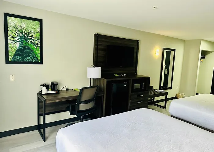 La Quinta By Wyndham Rome
