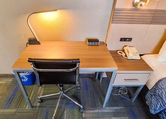 Buena Vista Motor Inn