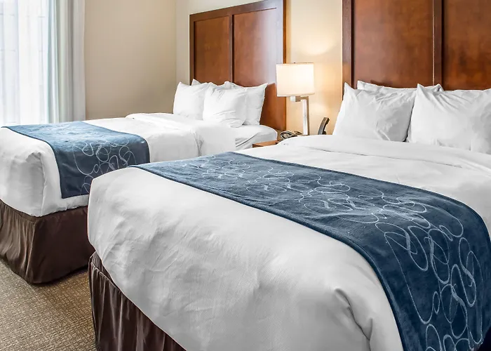 Comfort Suites Near Potomac Mills