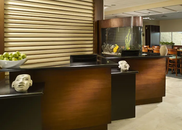Fairfield By Marriott Los Cabos