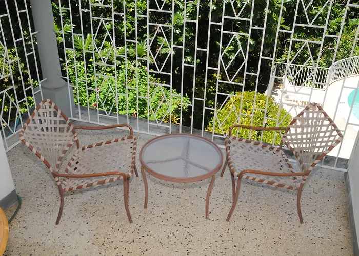 Palm View Guest House