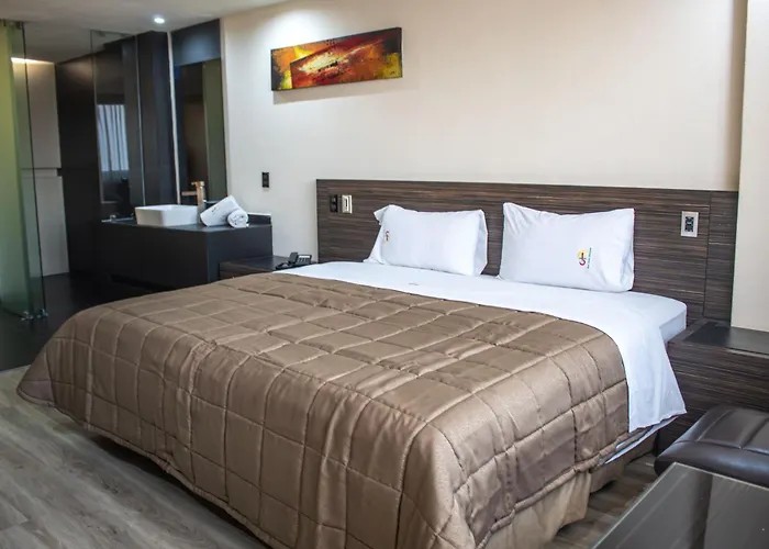 Hotel Amazonas Mexico City
