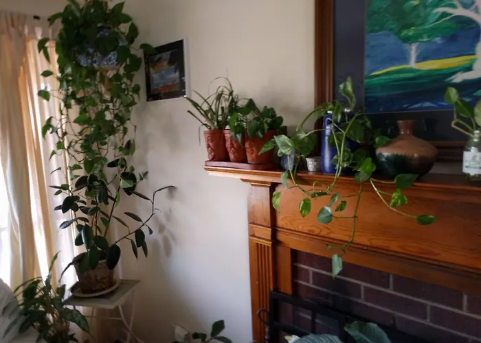Fairhaven Guesthouse