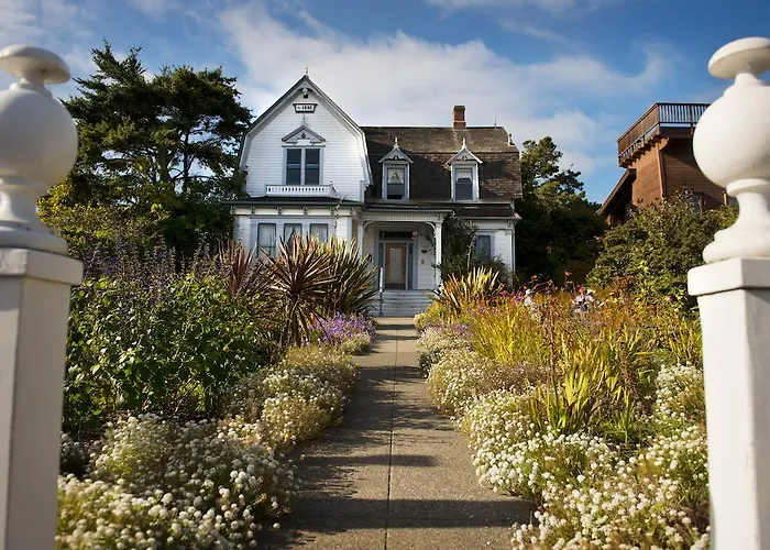 Didjeridoo Dreamtime Inn Mendocino