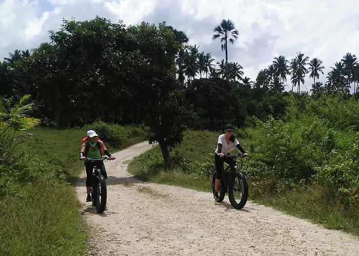 Solar Lodge Moalboal