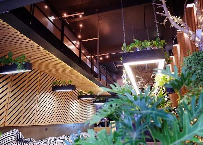 Hugger Hostel (Adults Only)